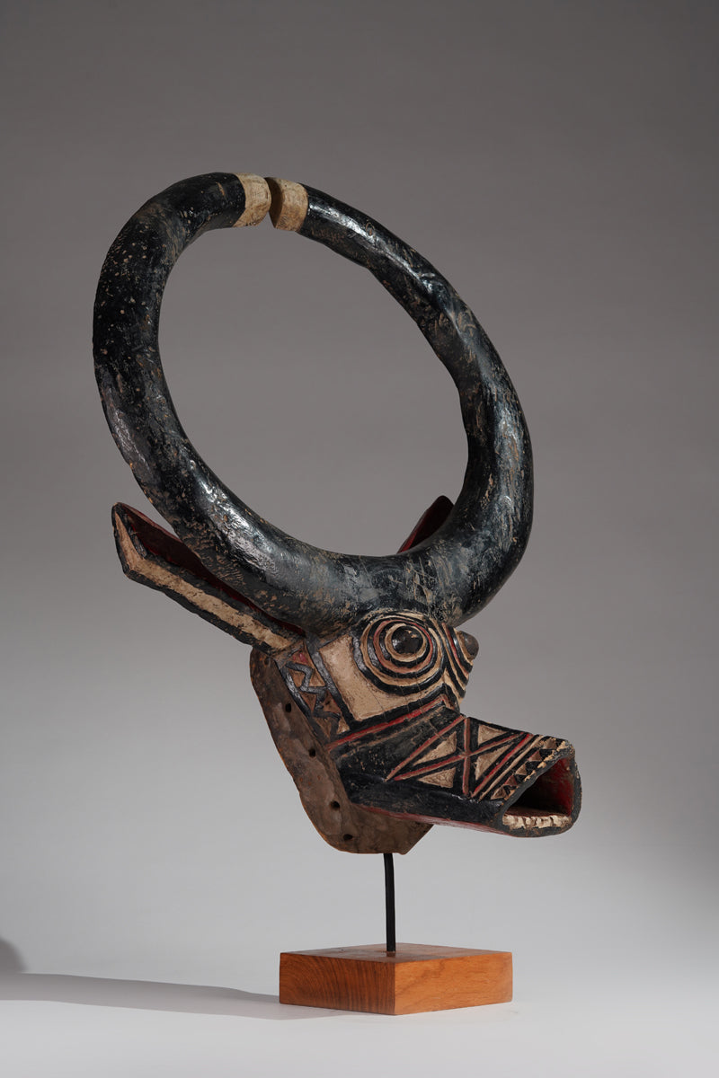 A Gurunsi buffalo mask