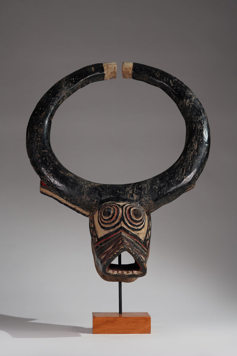 A Gurunsi buffalo mask