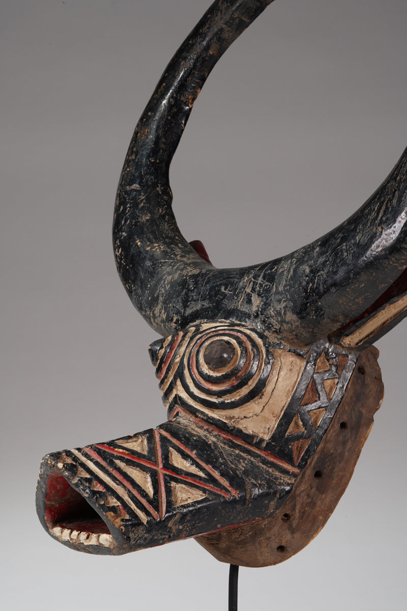 A Gurunsi buffalo mask
