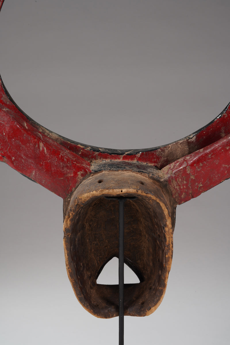 A Gurunsi buffalo mask