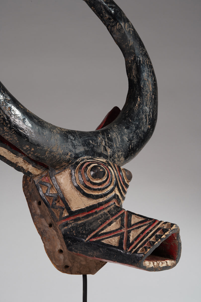 A Gurunsi buffalo mask