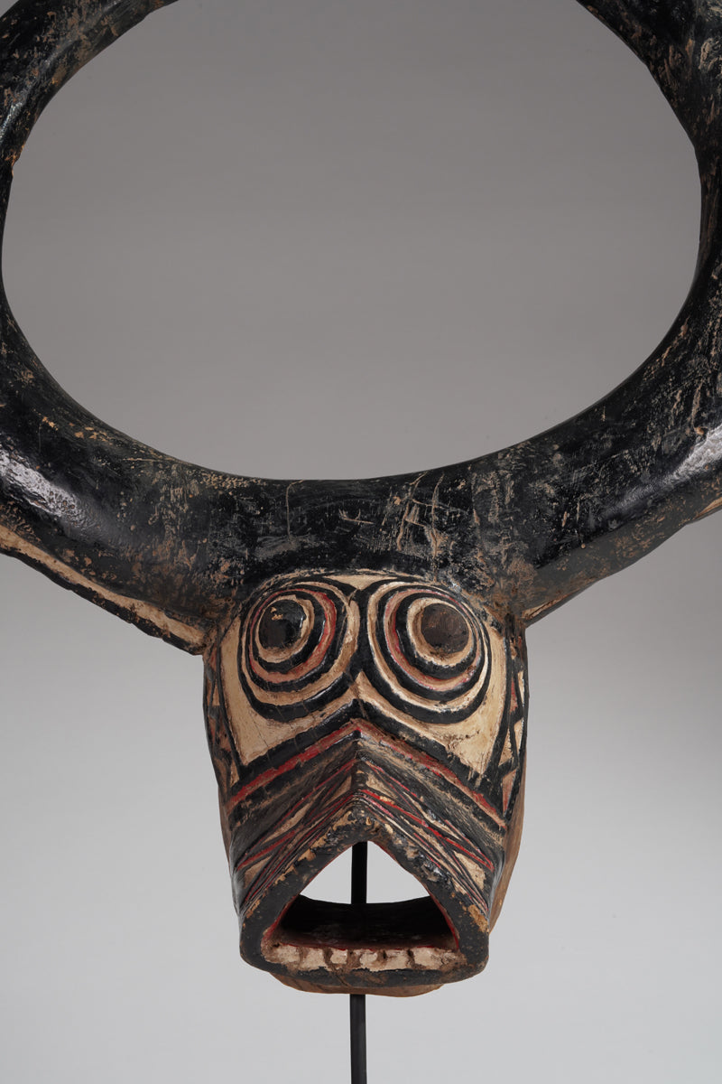 A Gurunsi buffalo mask