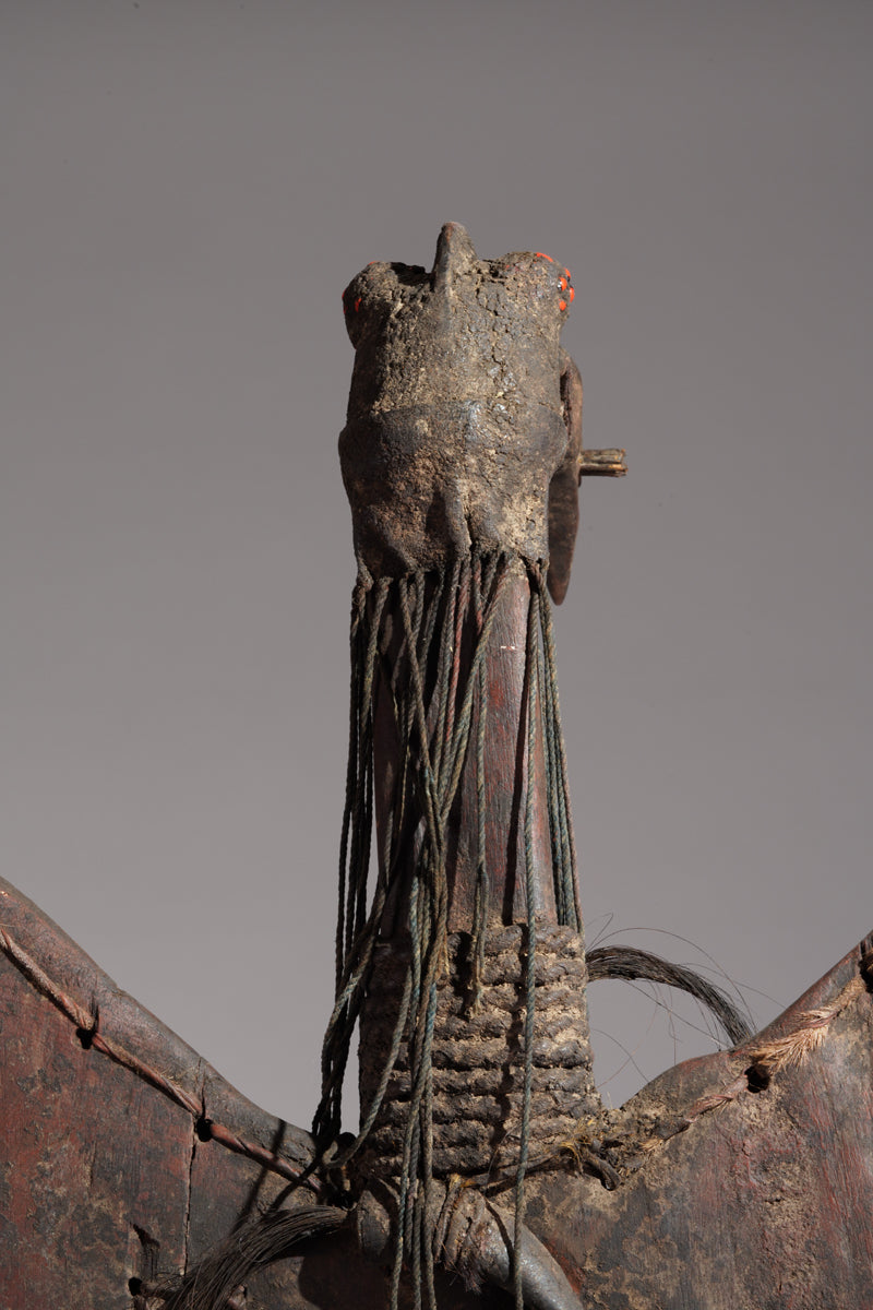 A Toussian Plank mask