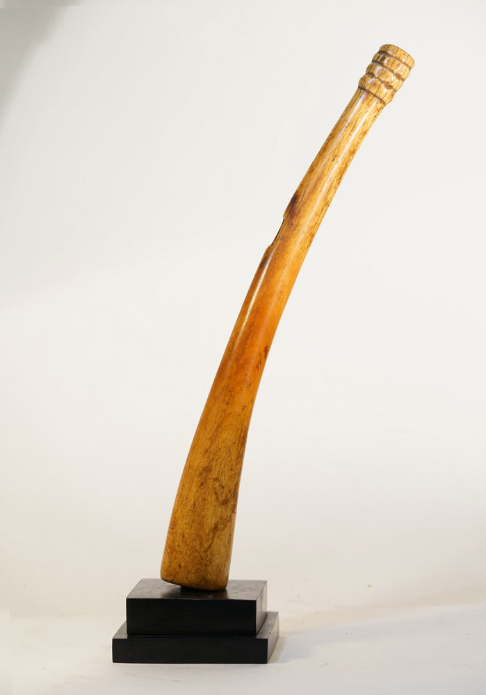 A Benin trumpet