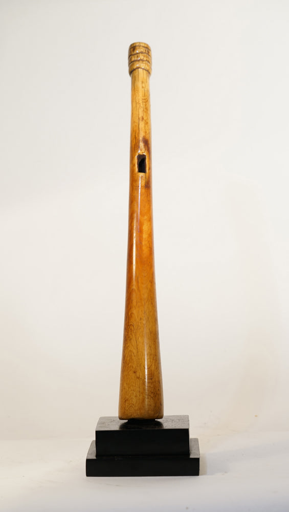 A Benin trumpet