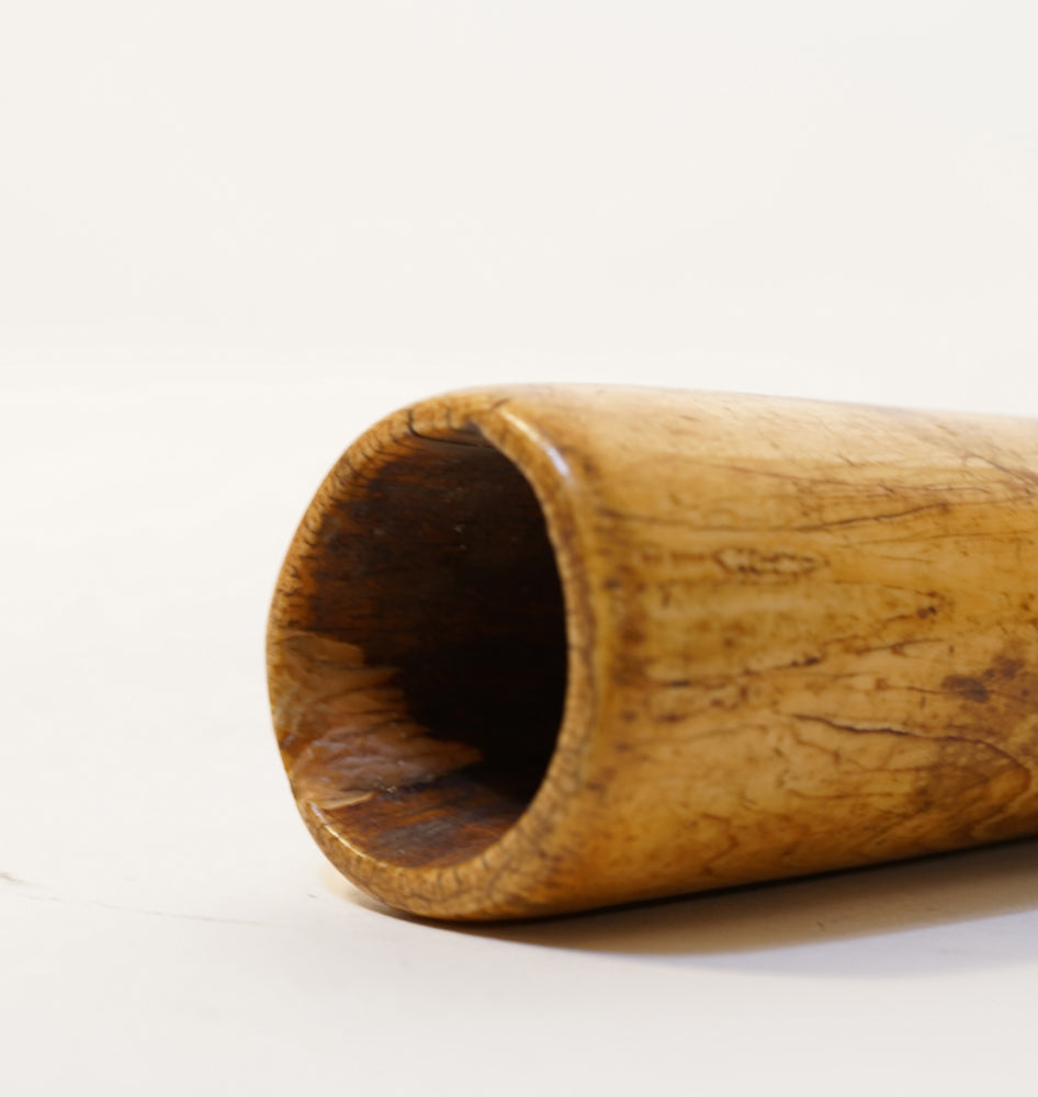 A Benin trumpet