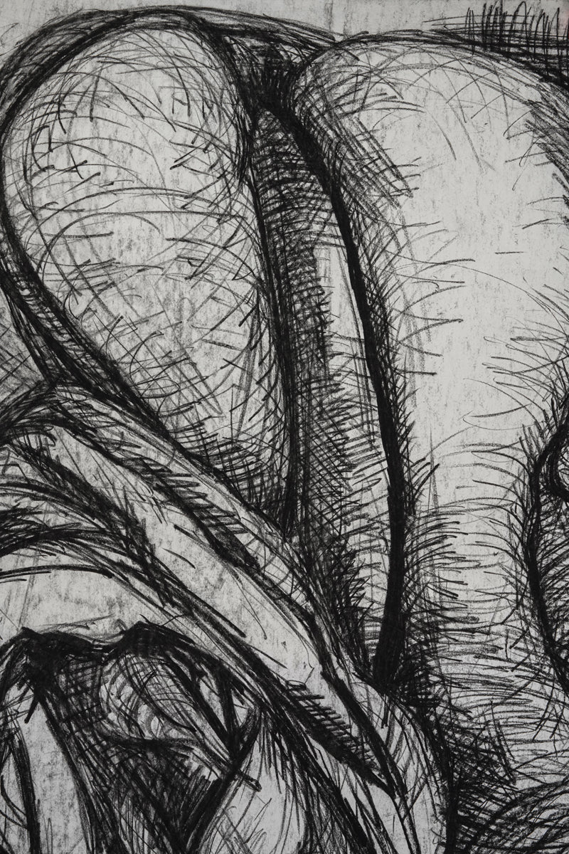 A chalk and charcoal work by Irena Klonek