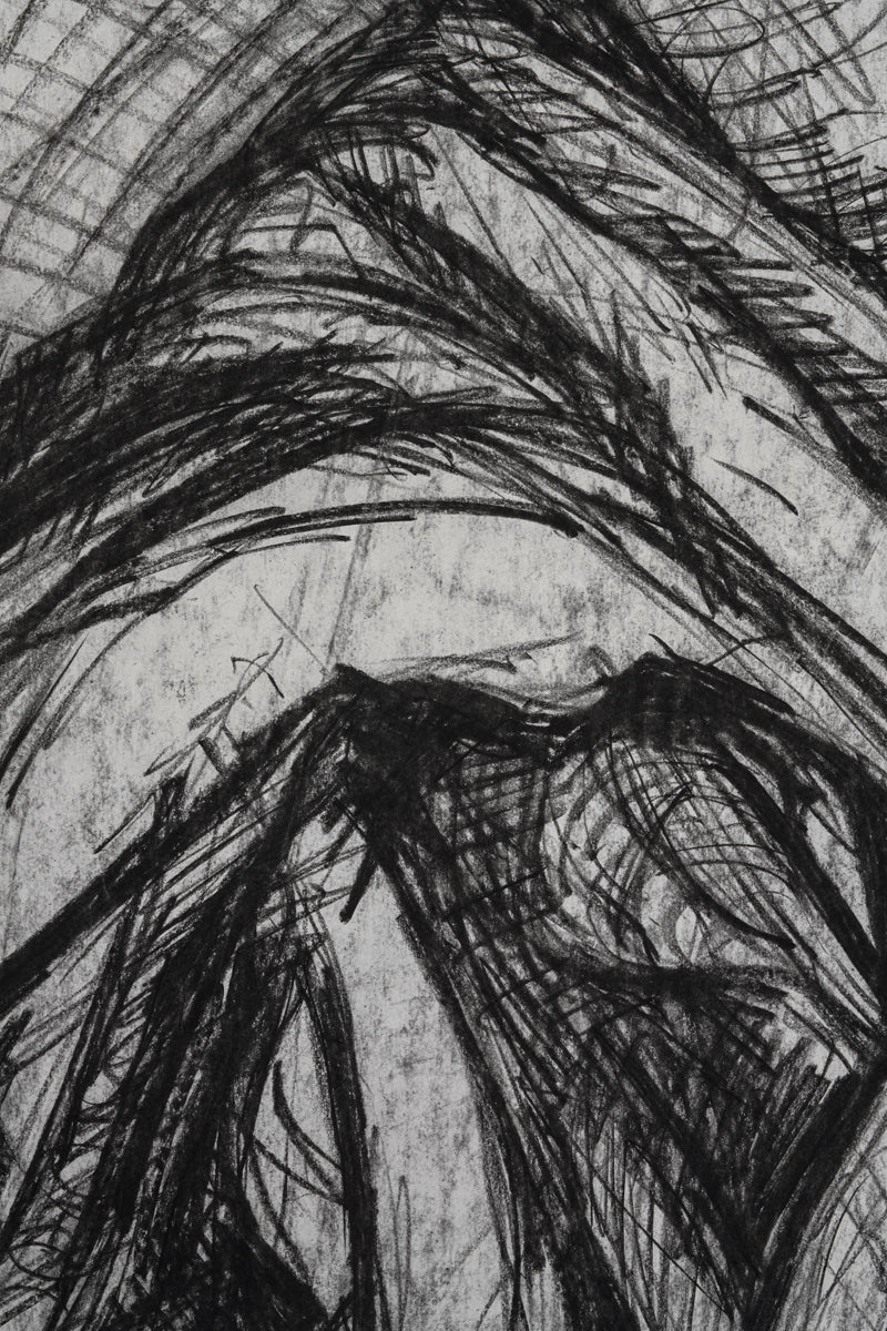 A chalk and charcoal work by Irena Klonek
