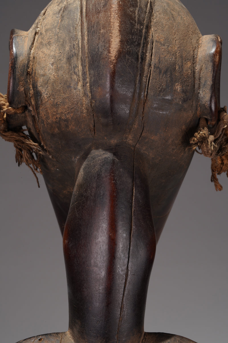 A female Débéle from the Sikasso region