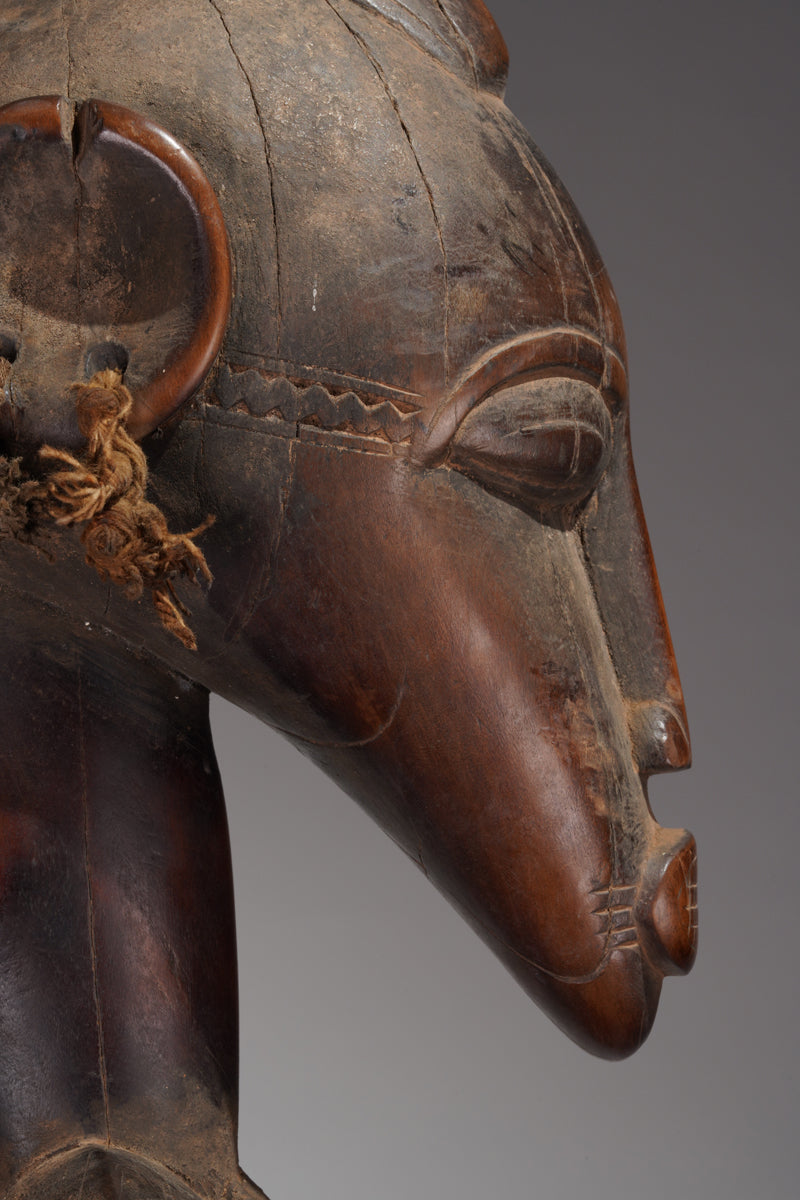 A female Débéle from the Sikasso region