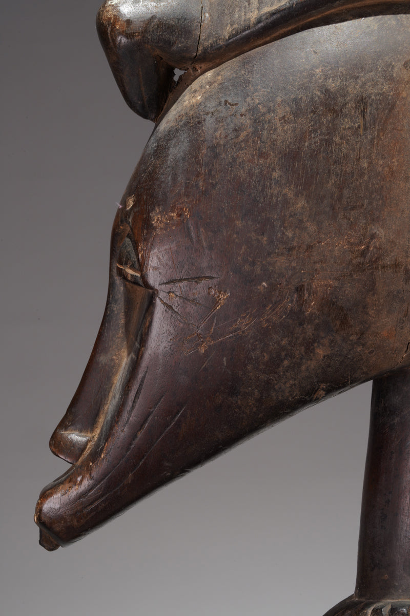 A female Senufo figure from Ivory Coast