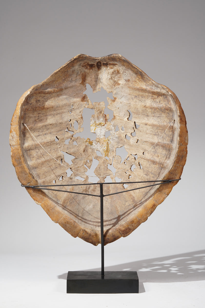 Fragmentary Karett turtle of a Bamum