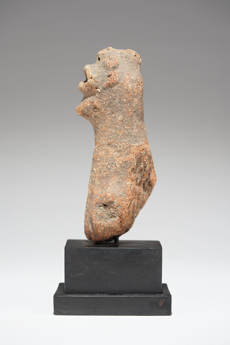 A fragmented terracotta bust