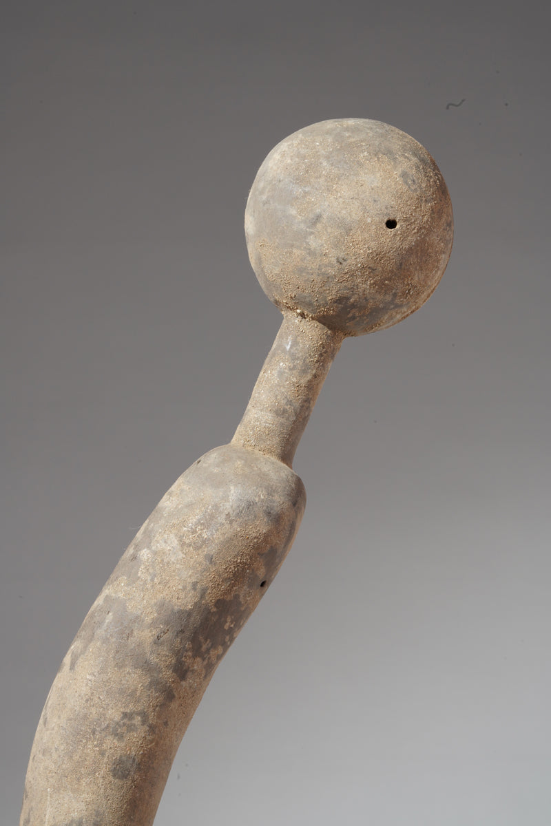 A rare PramPram couple