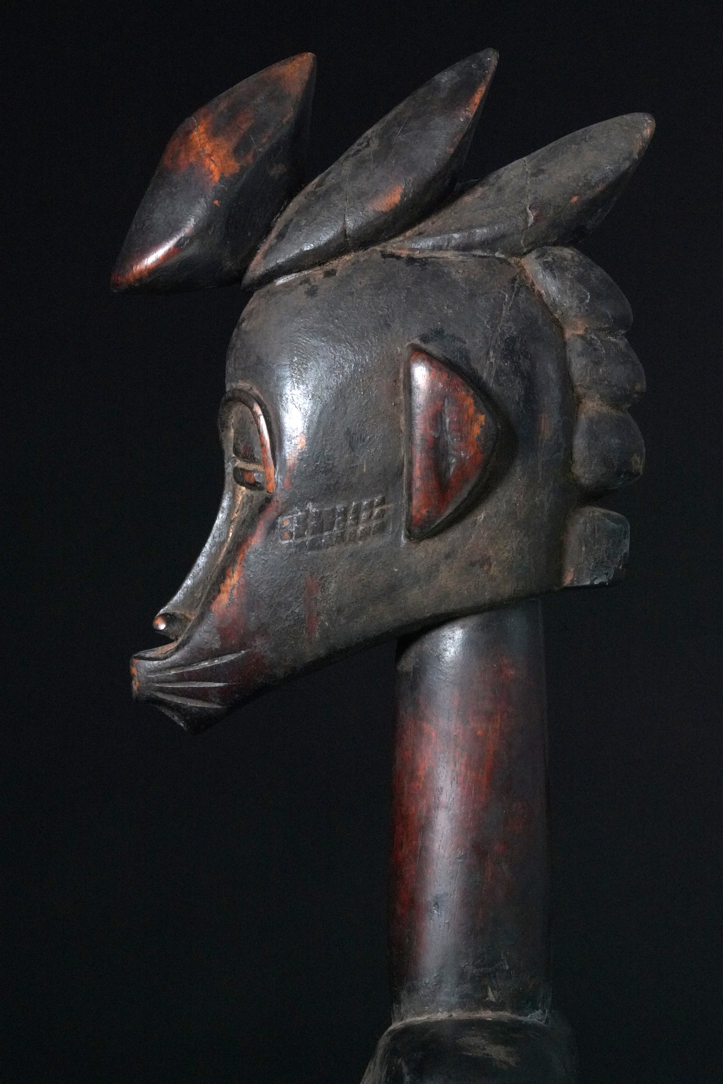A female Rhythmpounder - called Déblé
