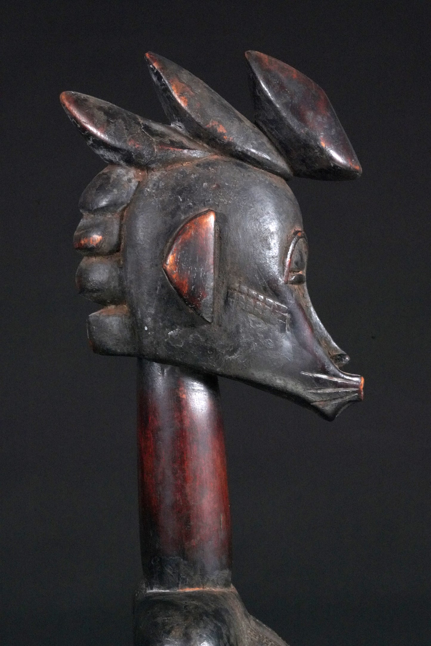 A female Rhythmpounder - called Déblé