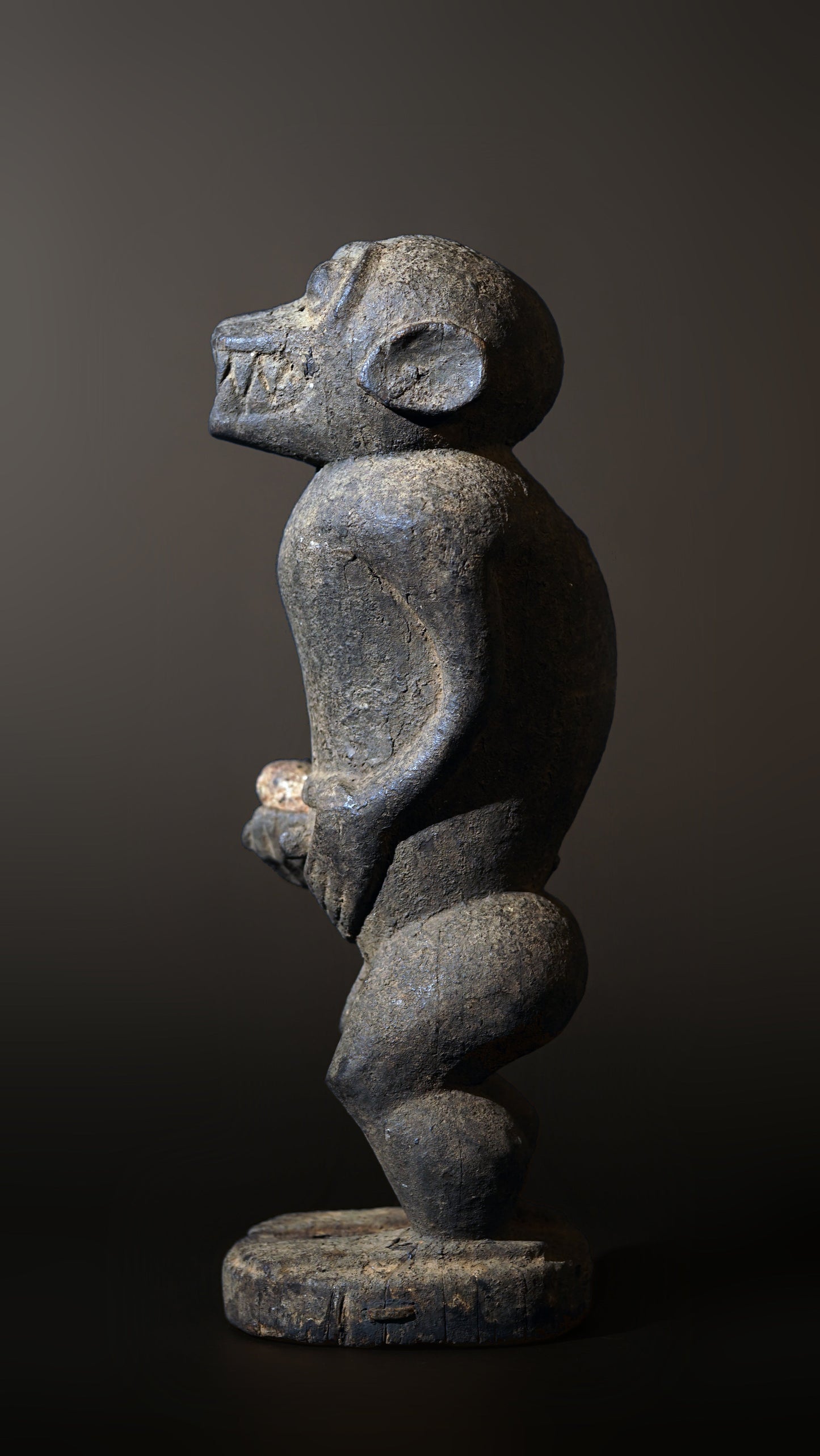 A Baule monkey