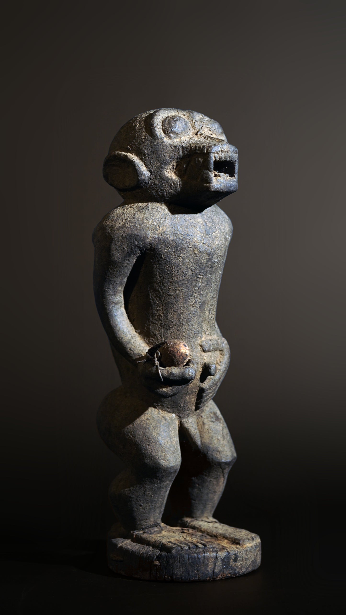 A Baule monkey