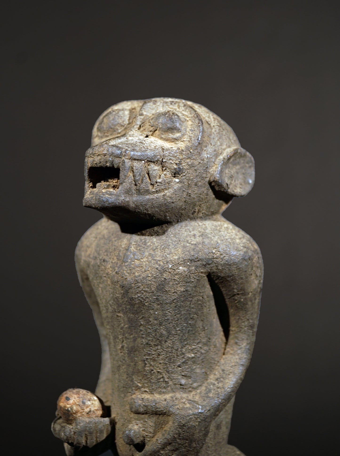 A Baule monkey