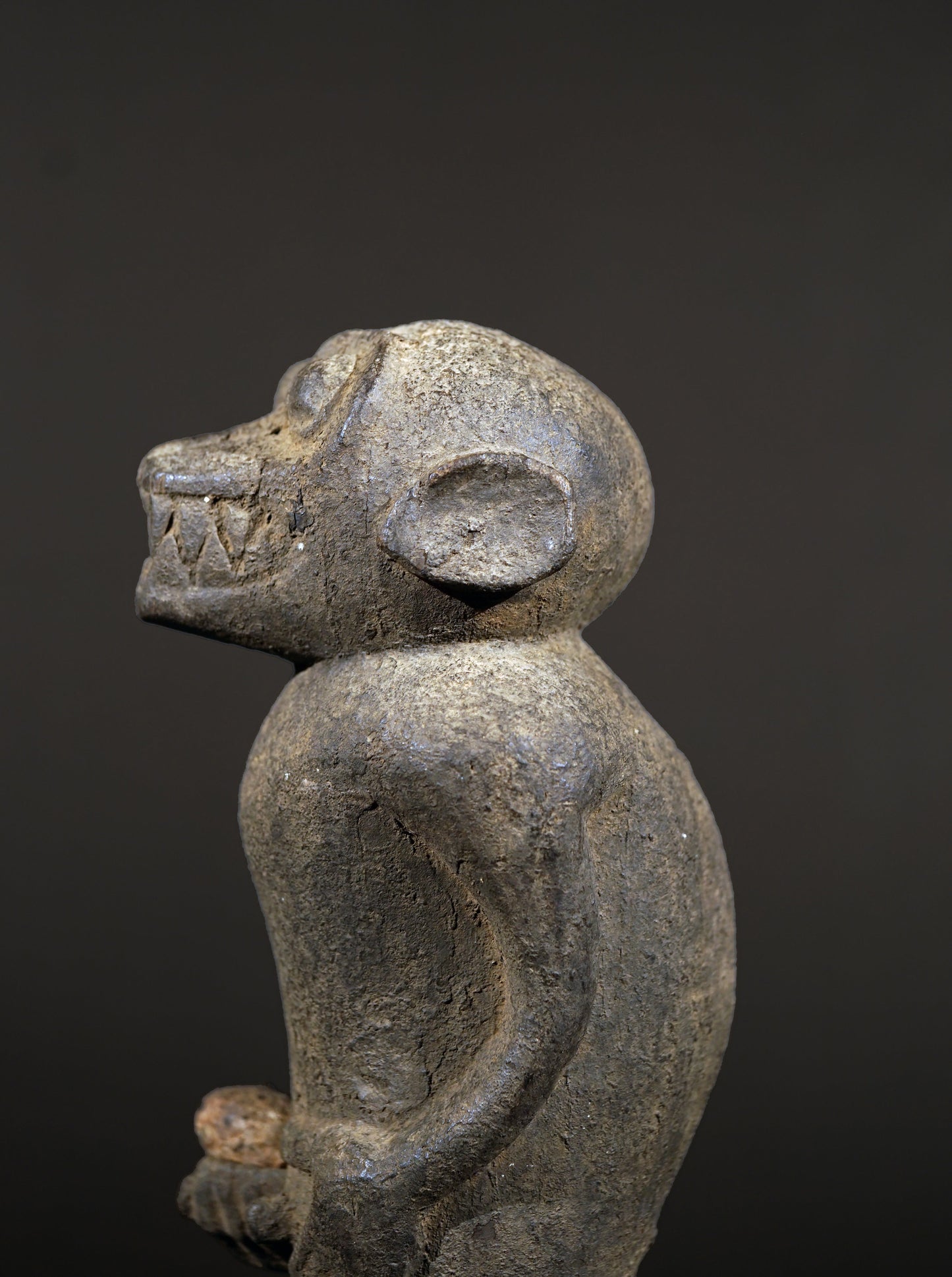 A Baule monkey