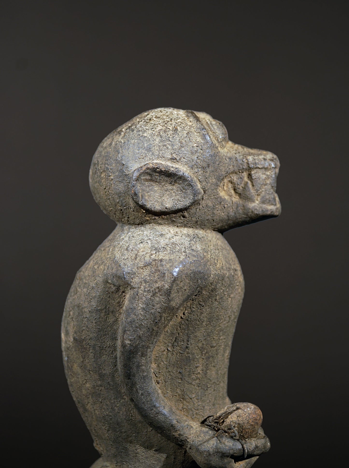 A Baule monkey