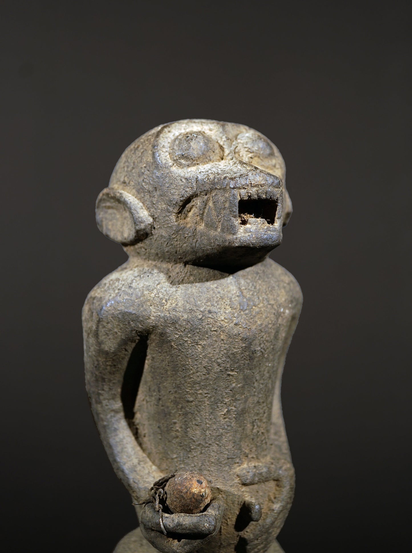 A Baule monkey