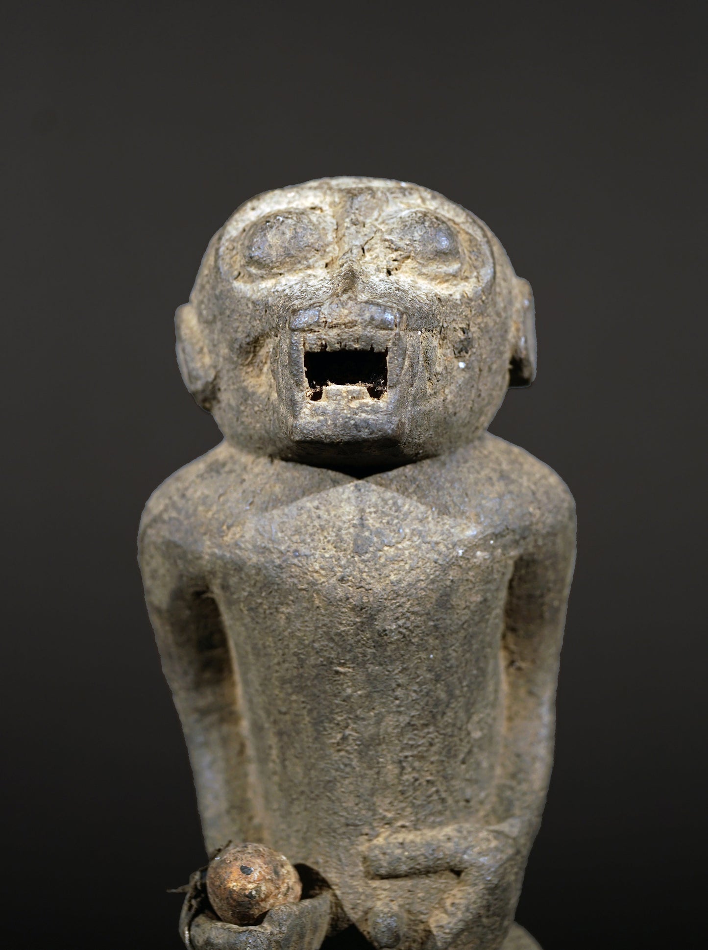 A Baule monkey