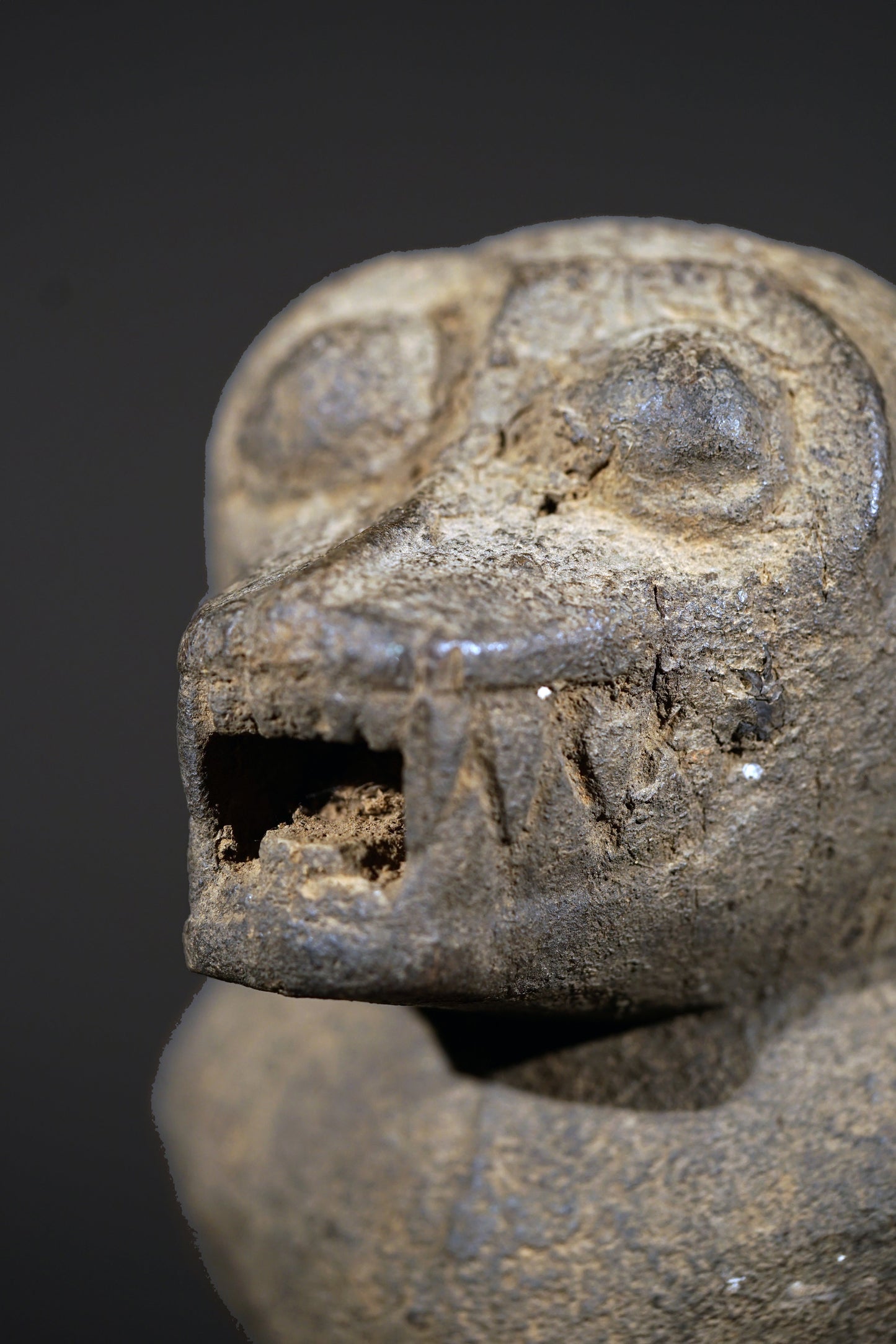 A Baule monkey