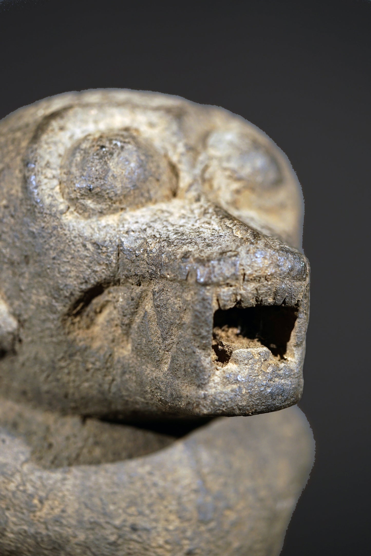 A Baule monkey