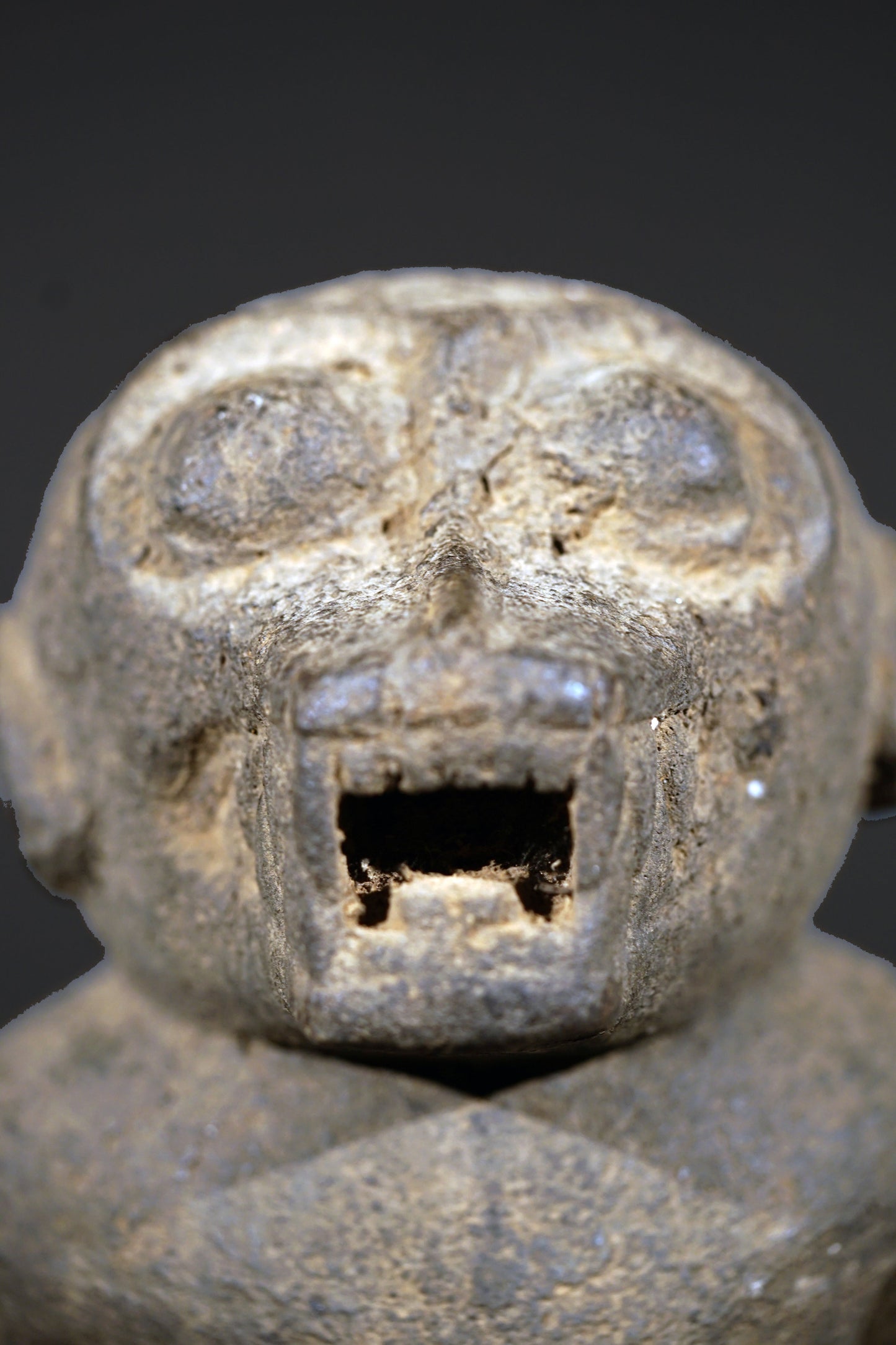 A Baule monkey