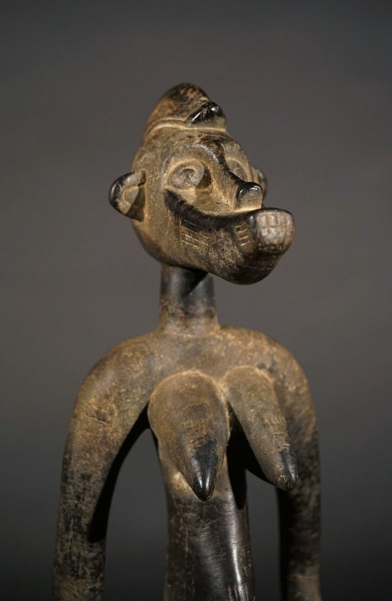 A female Senufo Rhytmpounder, called Deblé