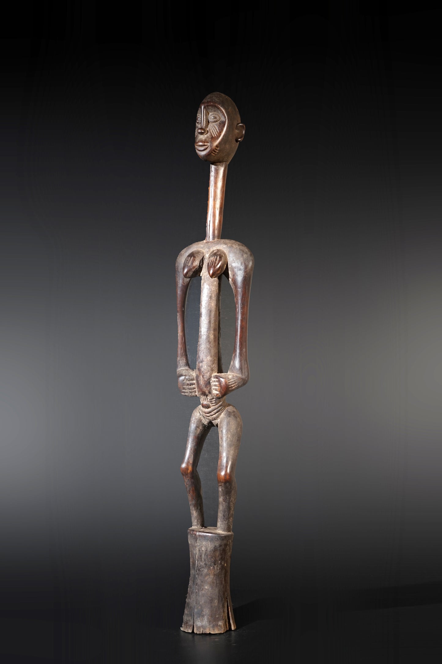 A remarkable female Rhythmpounder - called Déblé