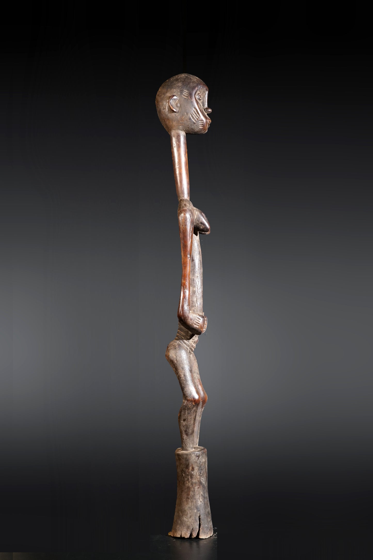 A remarkable female Rhythmpounder - called Déblé