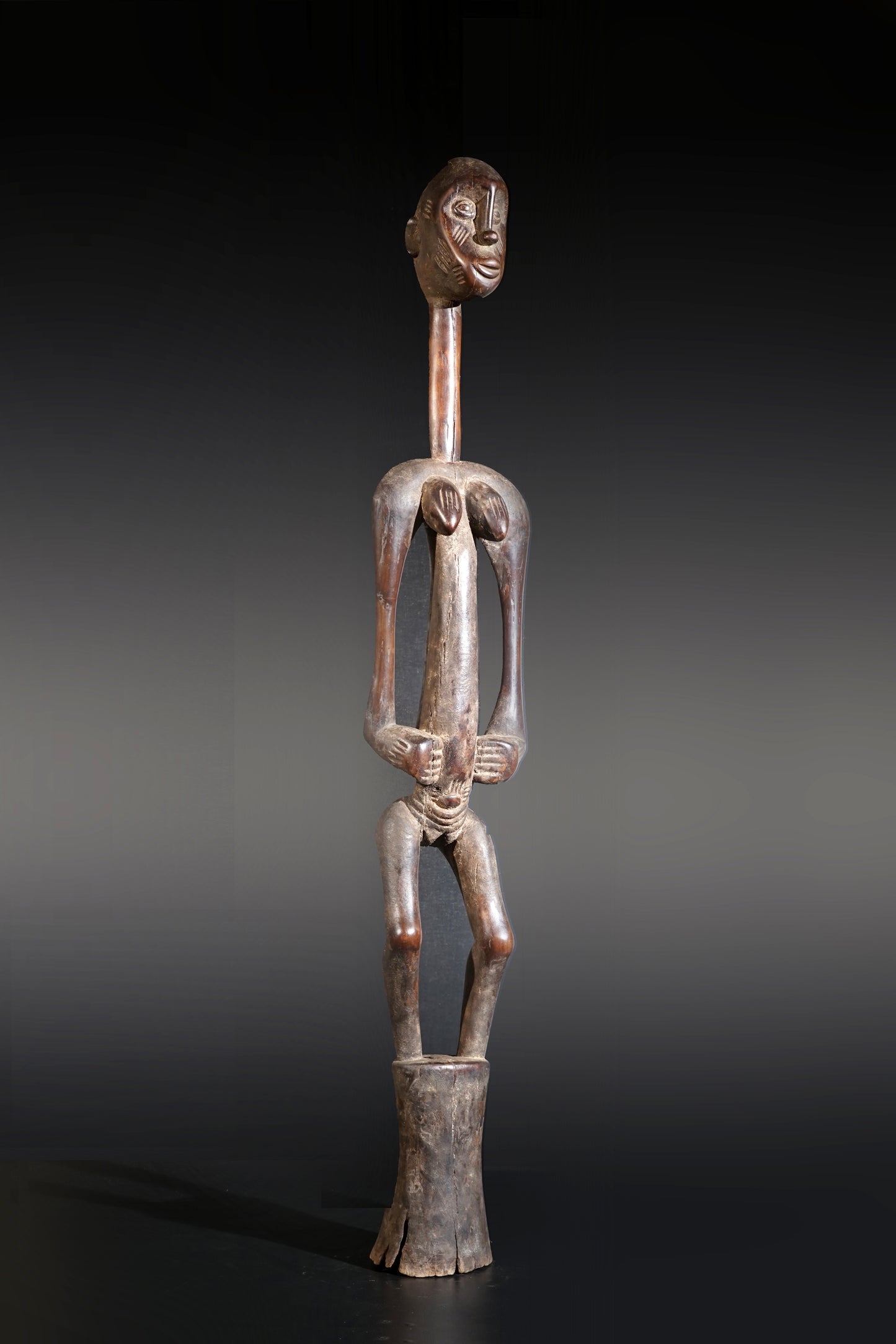 A remarkable female Rhythmpounder - called Déblé