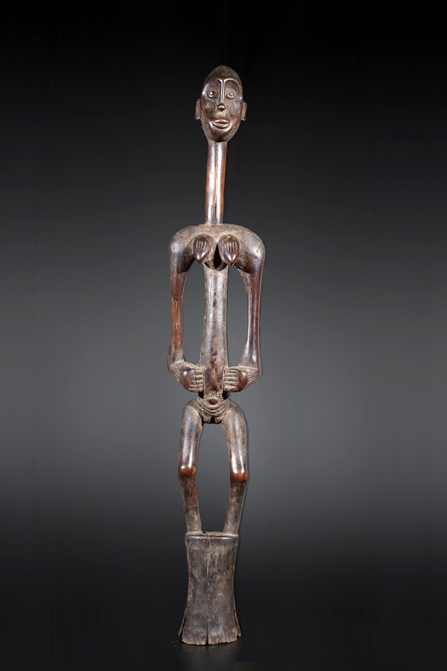 A remarkable female Rhythmpounder - called Déblé