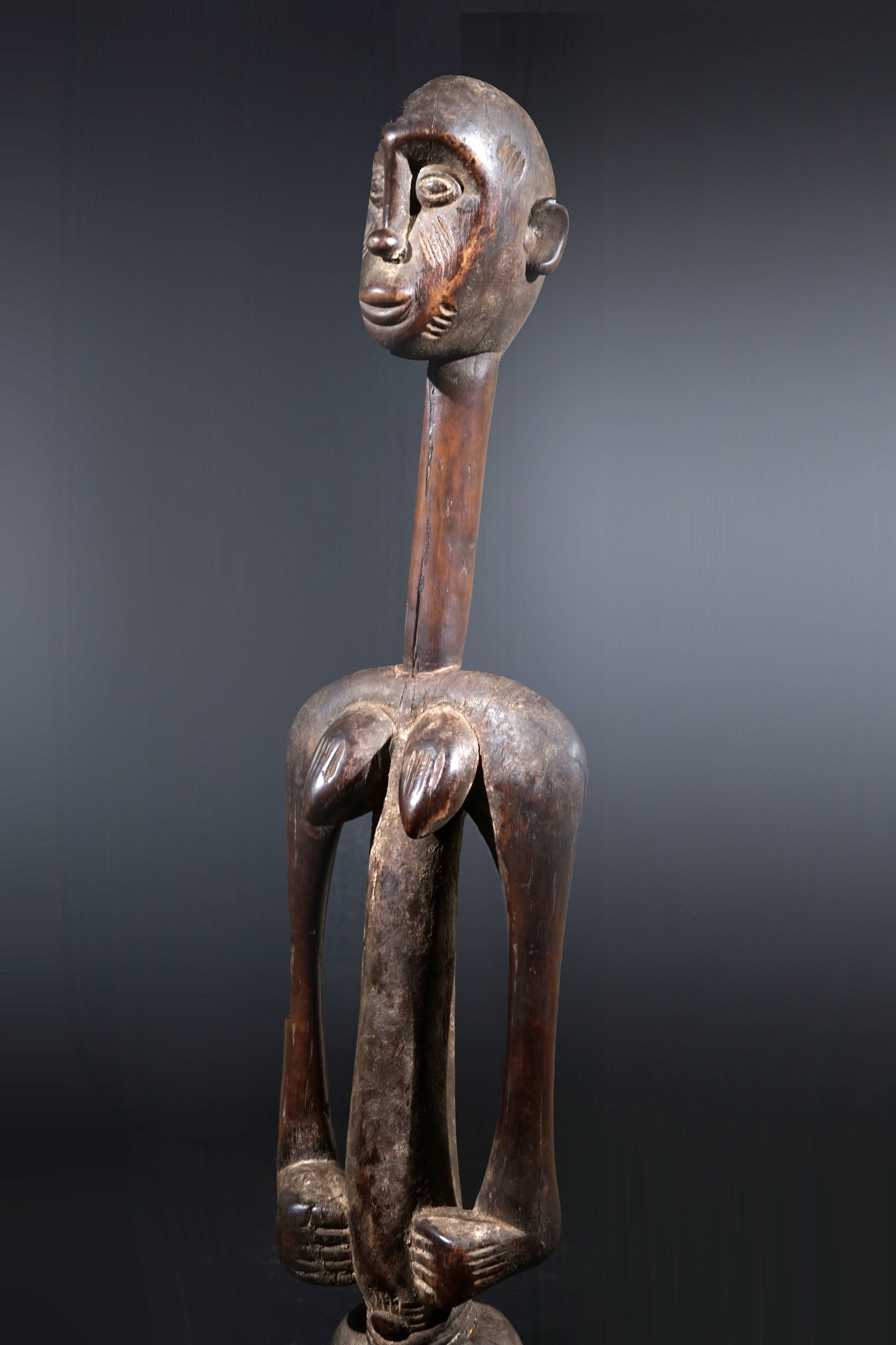 A remarkable female Rhythmpounder - called Déblé