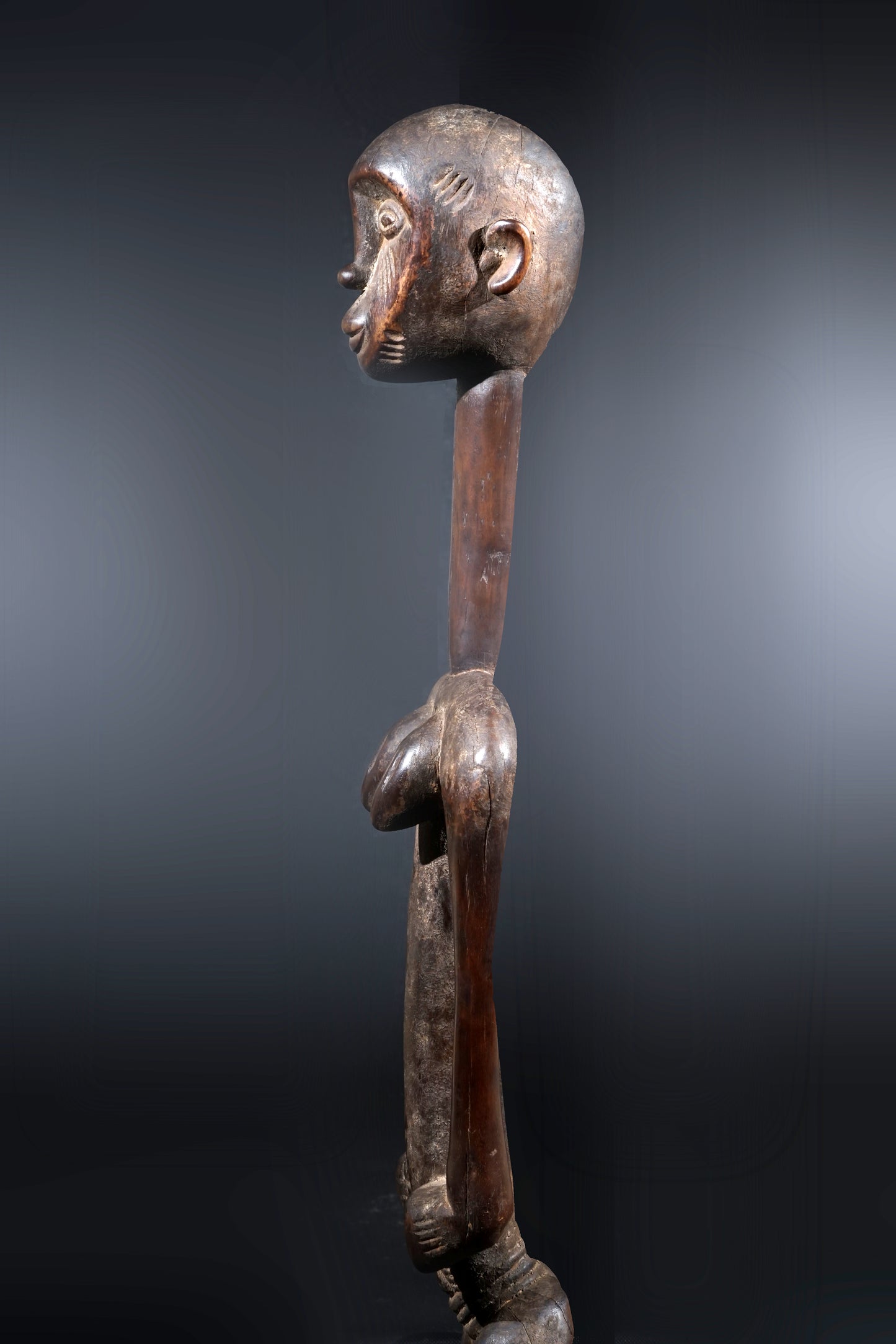 A remarkable female Rhythmpounder - called Déblé