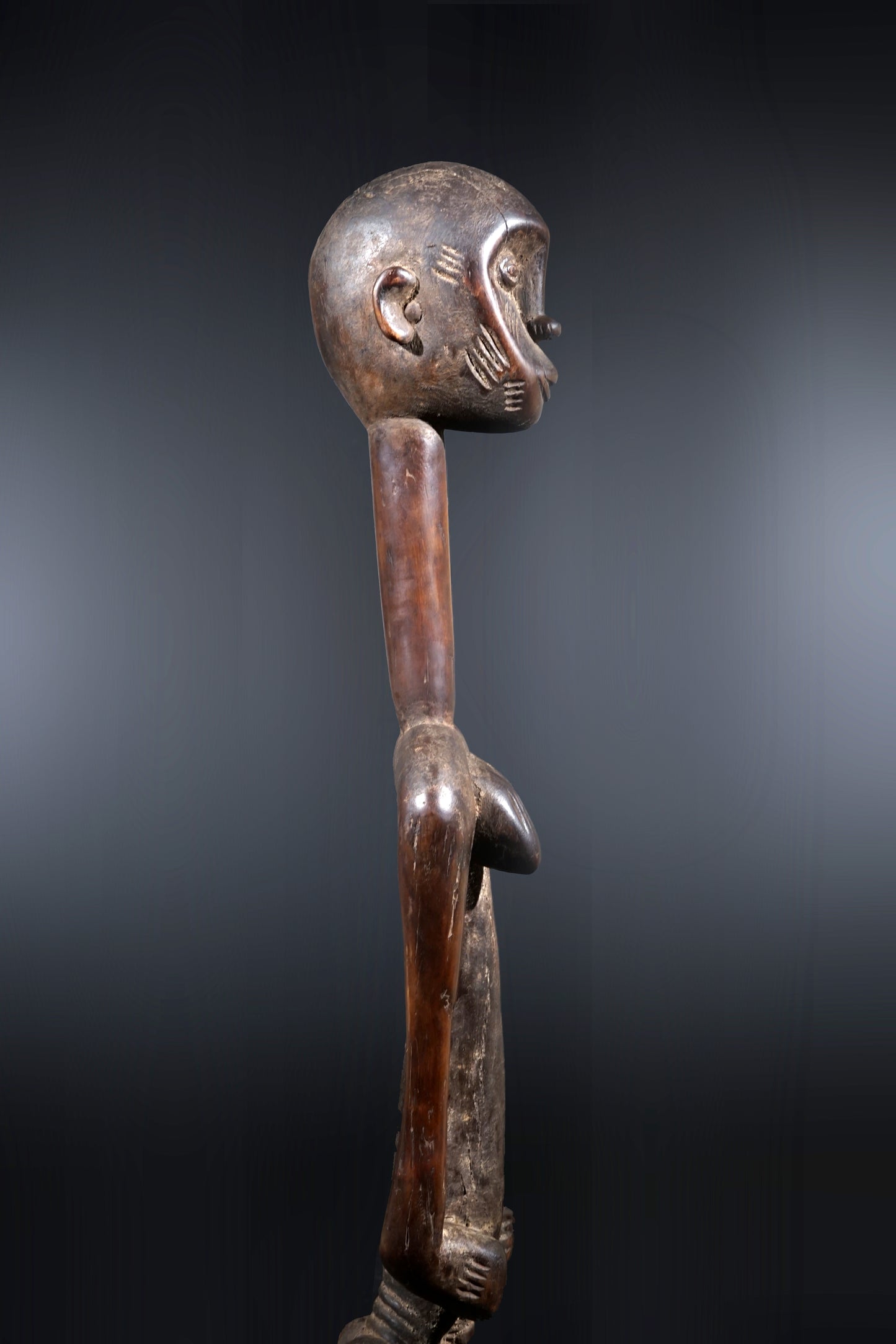 A remarkable female Rhythmpounder - called Déblé