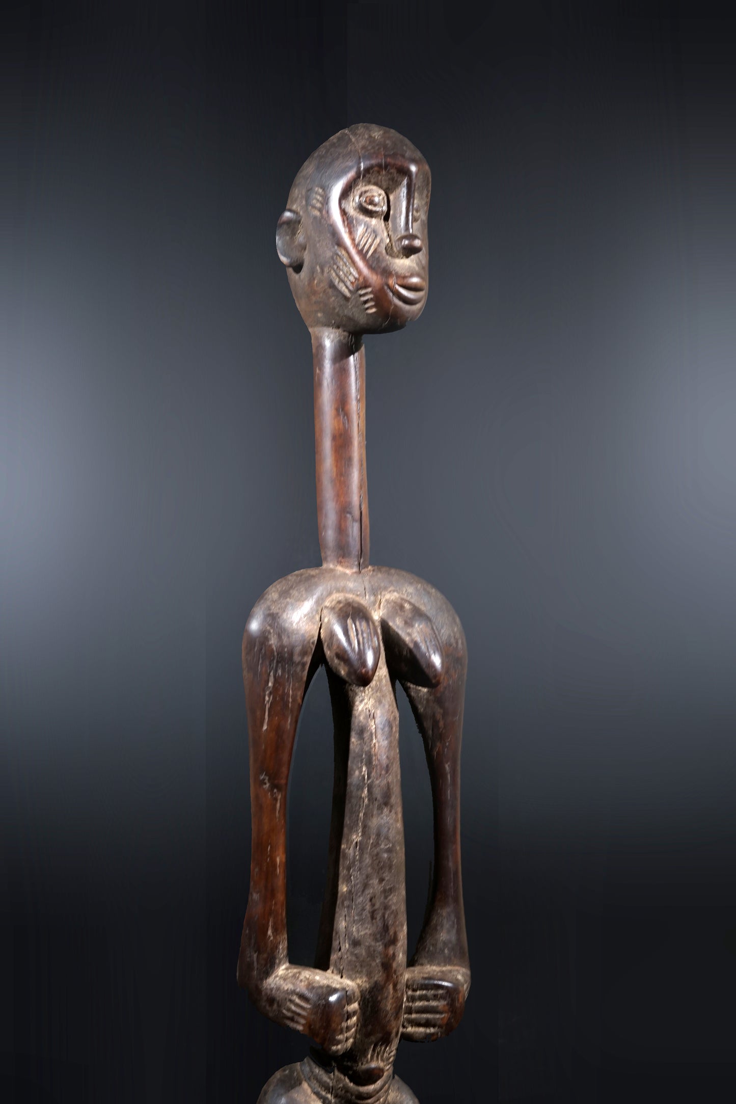 A remarkable female Rhythmpounder - called Déblé