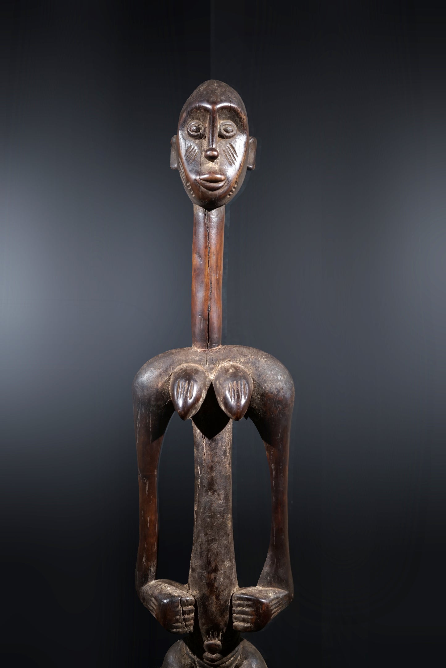 A remarkable female Rhythmpounder - called Déblé