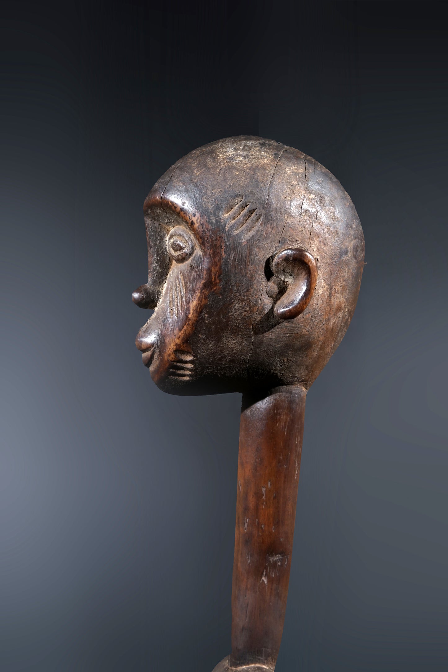 A remarkable female Rhythmpounder - called Déblé