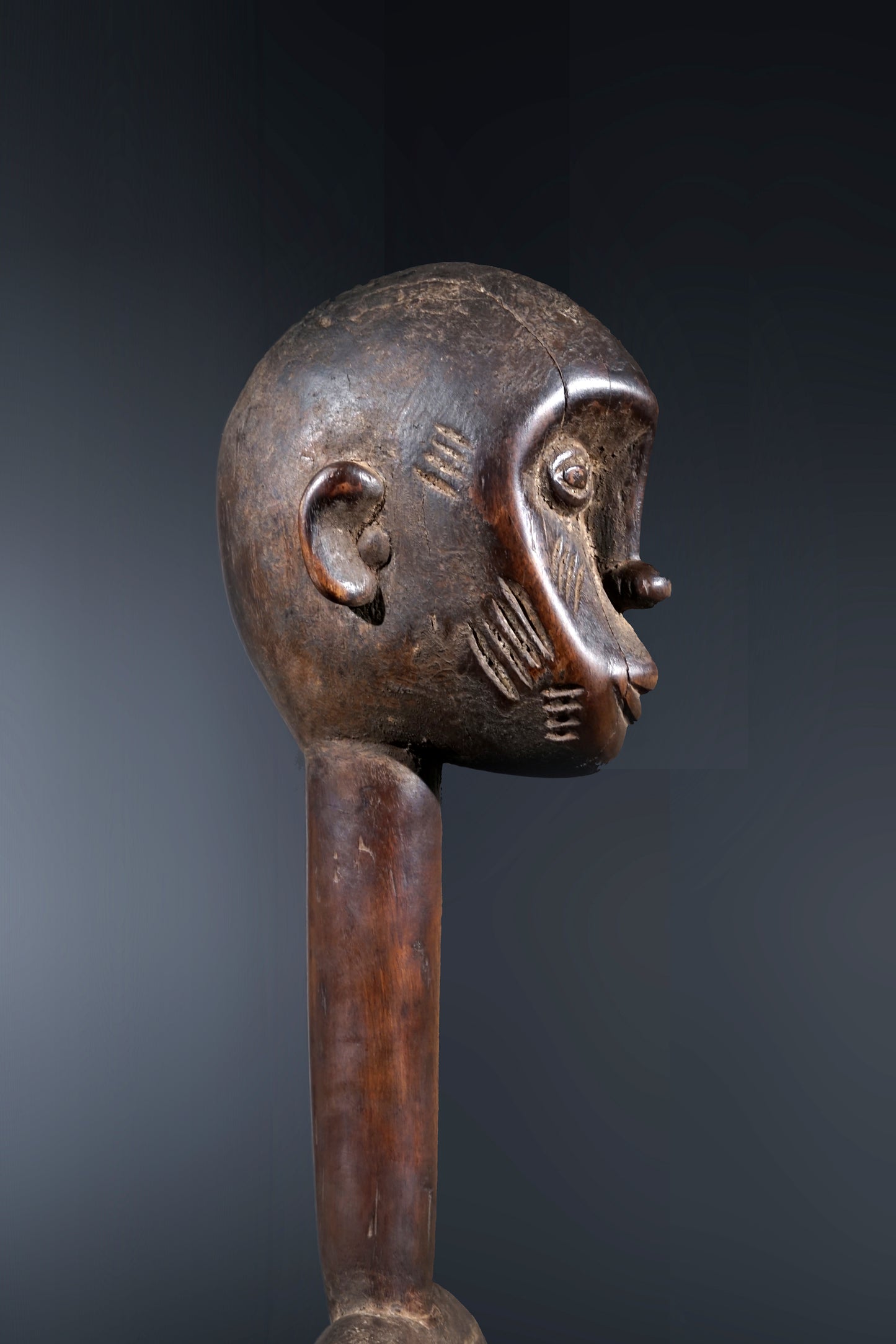 A remarkable female Rhythmpounder - called Déblé