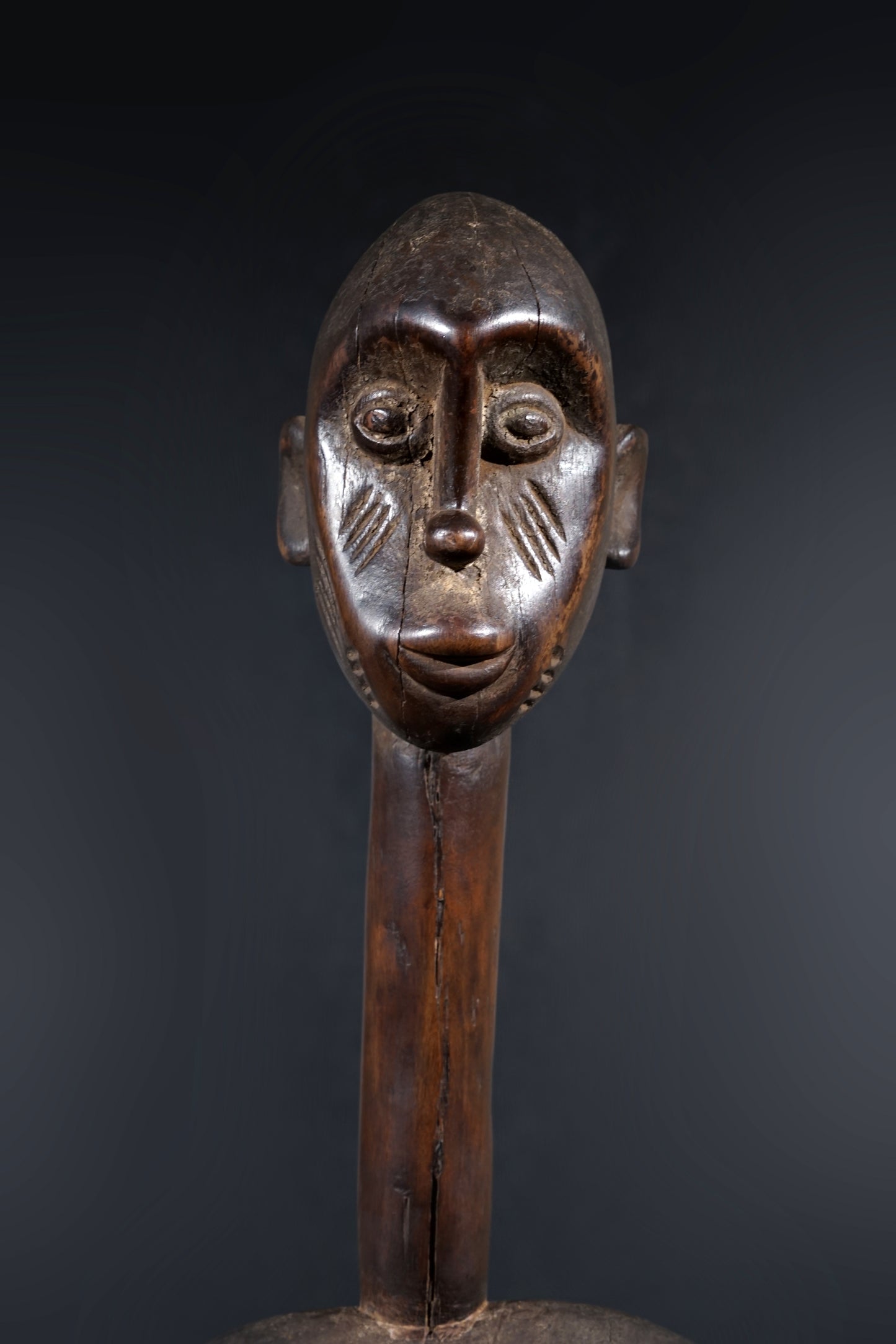 A remarkable female Rhythmpounder - called Déblé