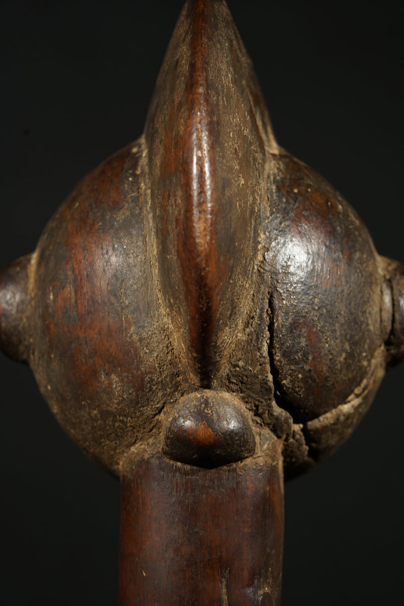 A Senufo Rhythmpounder couple
