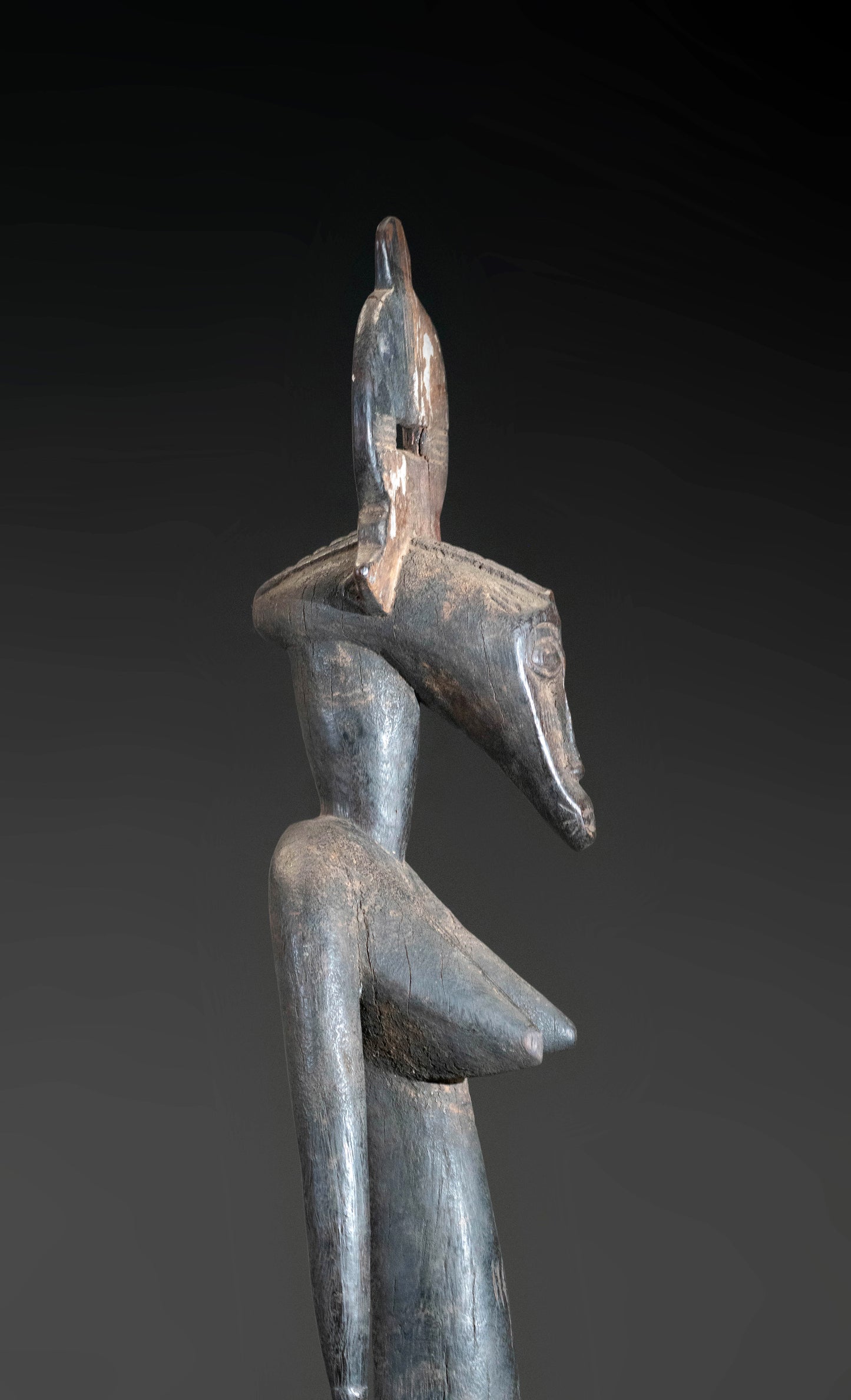 A high aged Senufo couple