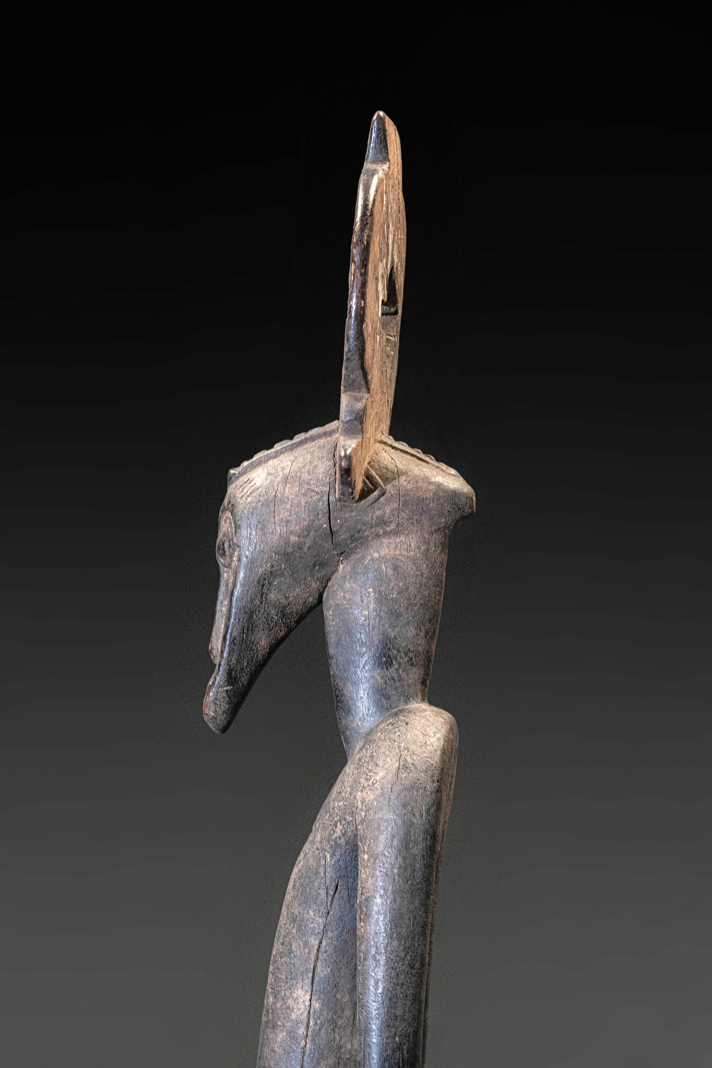 A high aged Senufo couple