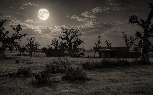 An object’s biography – The Night of Djenné-Jeno