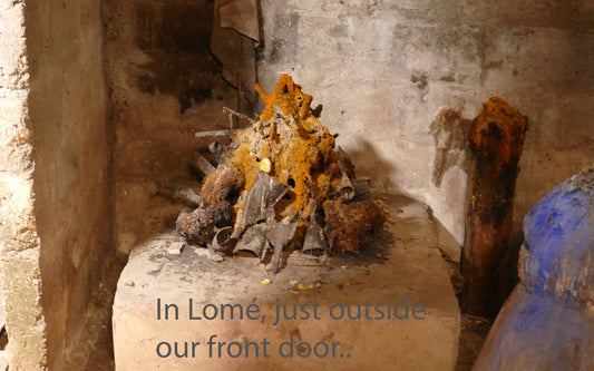 What I saw - what I partially filmed back then while walking through our neighborhood.