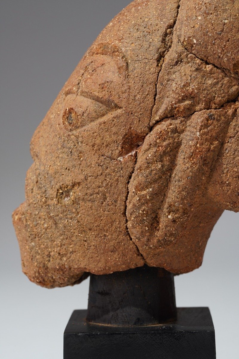 A fragmented terracotta head