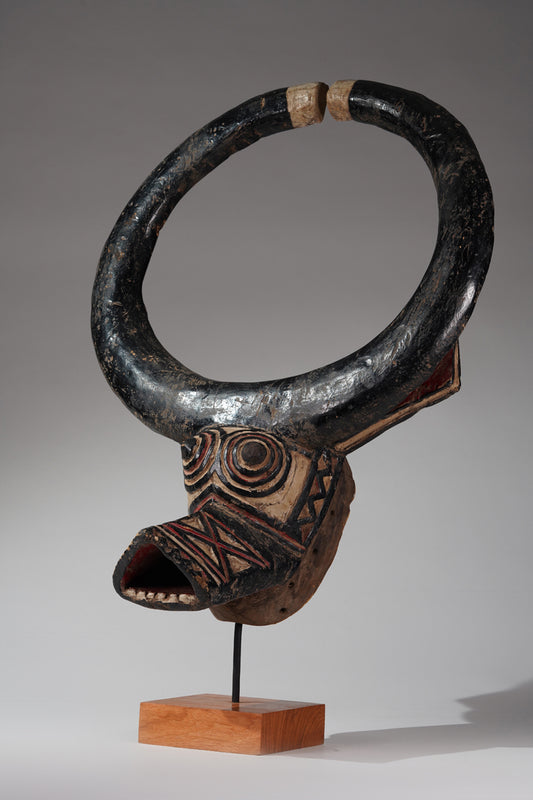 A Gurunsi buffalo mask